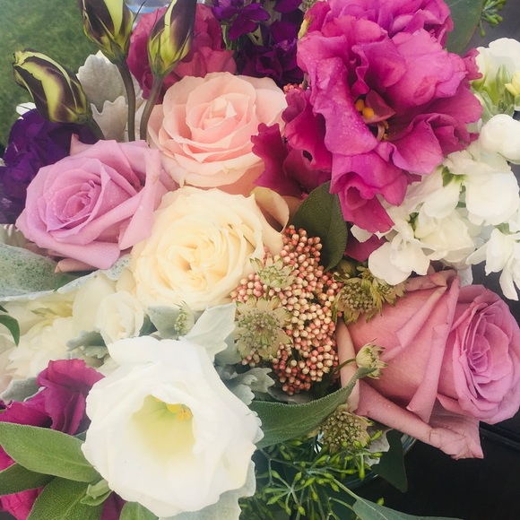 Meet your Posher, Hattie - Picture 1 of 1